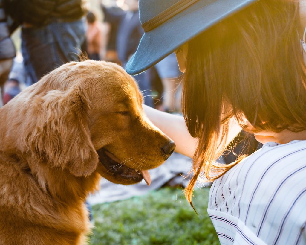 event strategy that is pet friendly